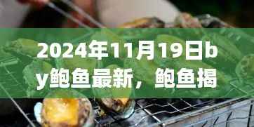 鲍鱼揭秘,未来日期2024年11月19日的三大要点深度解析