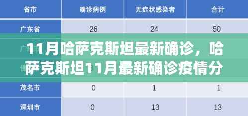 哈萨克斯坦11月最新疫情确诊分析,挑战、观点碰撞与疫情态势