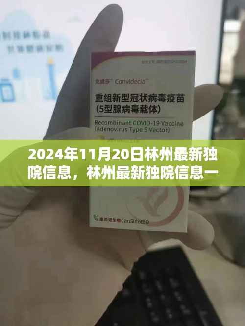 林州最新独院信息探索理想居所指南(2024年11月版)