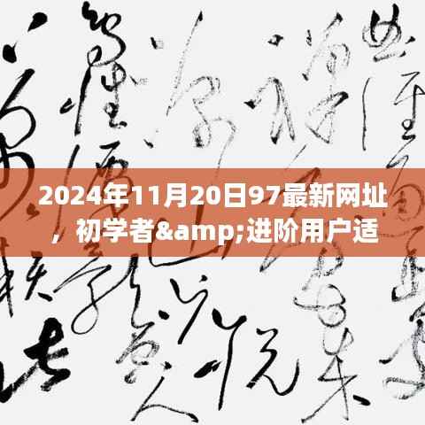 最新网址指南,初学者与进阶用户如何访问最新网址(适用于2024年)