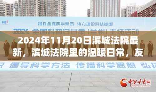 滨城法院的日常,友情、趣事与特别时刻(2024年11月20日最新)
