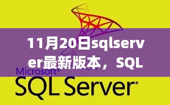 11月20日sqlserver最新版本,SQL Server升级日,温馨友谊的见证时刻