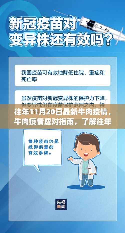 往年11月牛肉疫情最新动态,应对指南与食品安全保障措施的重要性