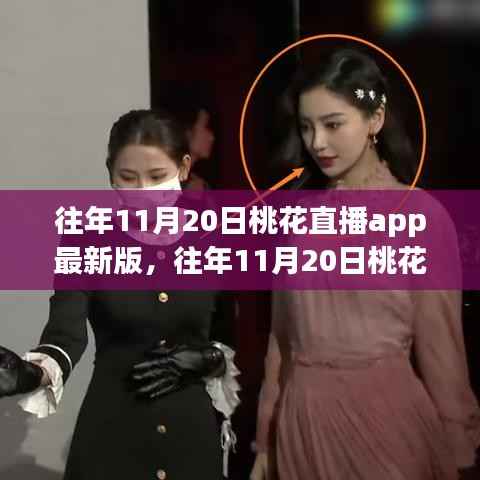 往年11月20日桃花直播app最新版解析及深度探讨