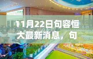 句容恒大最新动态,聚焦十一月二十二日的重磅消息