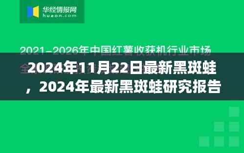 探索未来蛙界新星,最新黑斑蛙研究报告揭秘,2024年展望