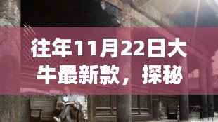 探秘小巷深处的隐藏宝藏,11月22日大牛最新款特色小店揭秘