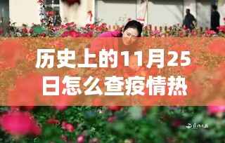 探寻之旅,历史上的11月25日疫情热门动态回顾