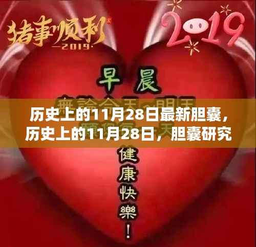历史上的11月28日,胆囊研究的辉煌时刻与最新进展探索