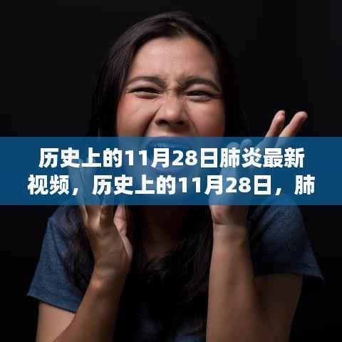历史上的11月28日肺炎疫情概览与最新视频发布