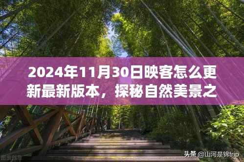 探秘自然美景之旅,映客直播带你领略全新视界,更新指南与心灵港湾启程之旅