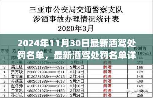 2024年最新酒驾处罚名单详解及应对指南,初学者与进阶用户必读