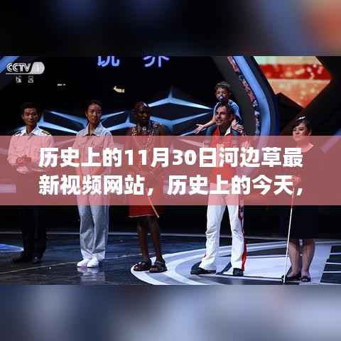 河边草视频网站的励志故事,点燃学习变革的火花历程回顾与今日发展