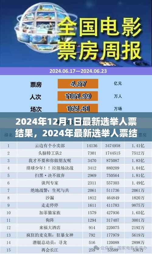 2024年选举人票结果揭晓,投票流程与结果查询指南(全解析)