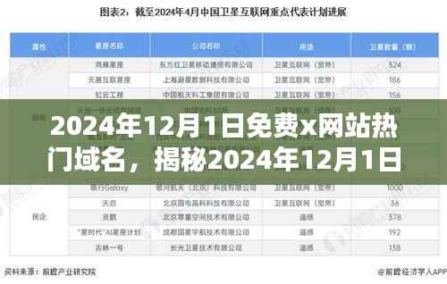 揭秘热门免费网站域名,探索未知网络世界小红书指南(2024年12月版)