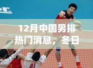 12月热血男排,友情、拼搏与家的温暖,最新男排消息回顾