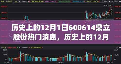 历史上的12月1日鼎立股份热门消息深度评测与目标用户群体分析揭秘!