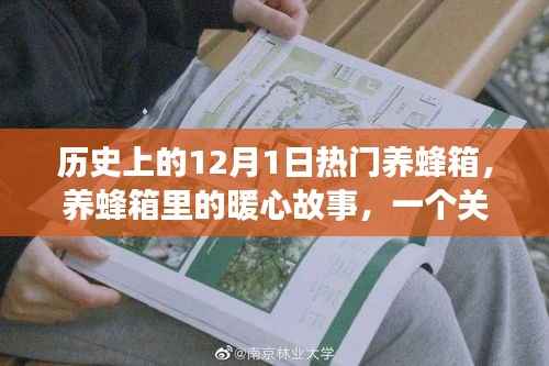 暖心养蜂箱,友谊与陪伴的温馨日常在历史上的今天——养蜂箱里的故事回顾