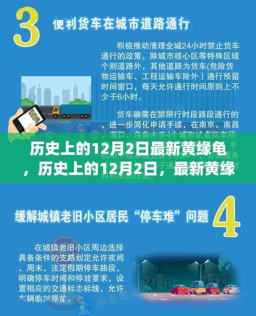 历史上的12月2日,最新黄缘龟事件的多维解读