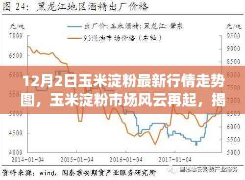 揭秘玉米淀粉市场风云,最新行情走势图深度解析(12月2日)