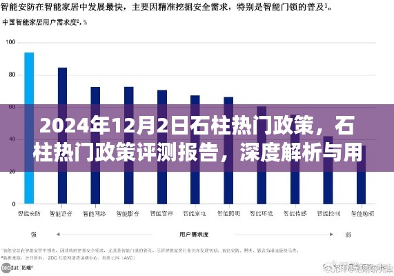 石柱热门政策深度解析与用户体验洞察报告(2024年视角)
