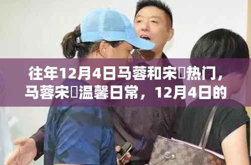 马蓉宋喆温馨日常,12月4日的回忆与快乐时光
