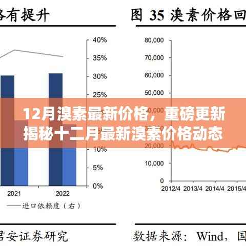 揭秘十二月最新溴素价格动态,洞悉市场动态趋势与价格走势