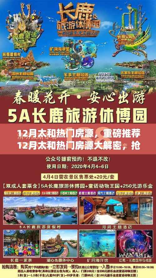 目不转睛 第4页