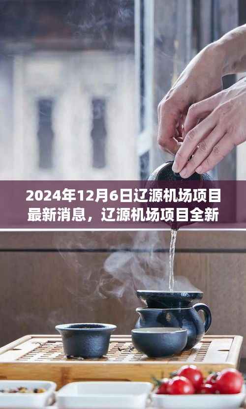 辽源机场项目全新升级揭秘,科技重塑未来航空之旅,智能飞行体验极致呈现