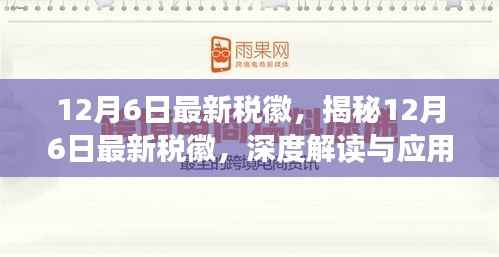揭秘，最新税徽深度解读与应用指南（12月6日更新）