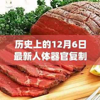 星星打烊 第3页