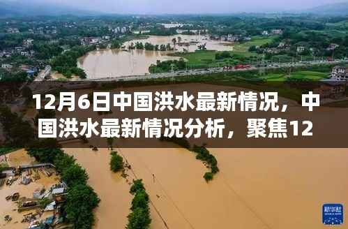 中国洪水最新动态分析,聚焦12月6日态势与观点探讨