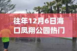 海口凤翔公园12月6日热门消息回顾