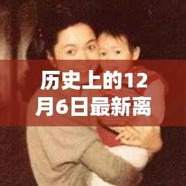 历史上的12月6日离婚证图片大全,最新离婚证一览