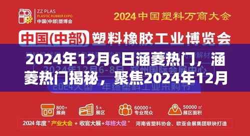 涵菱热门揭秘,聚焦三大看点,揭秘2024年12月6日的秘密
