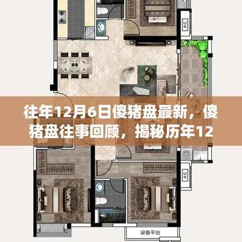 揭秘历年12月6日傻猪盘背后的故事与影响,回顾最新进展与往事回顾