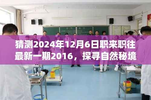 探寻自然秘境,心灵之旅启程,职来职往最新一期预告 2024年12月6日即将揭晓