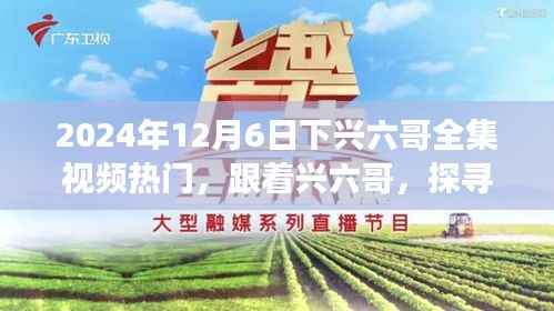 2024年12月6日下兴六哥全集视频热门,跟着兴六哥,探寻自然秘境,一场远离尘嚣的心灵之旅