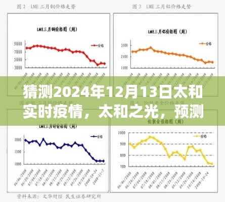 太和之光,预测与成长,共同迎接未来的希望 —— 预测太和实时疫情发展趋势至2024年12月13日