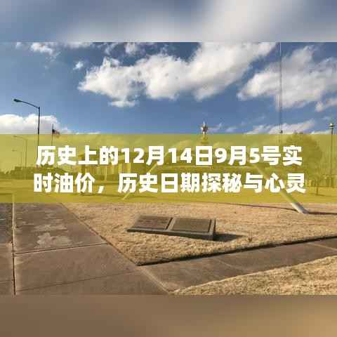 历史油价探秘与心灵之旅,自然美景下的油价波动与平静时刻