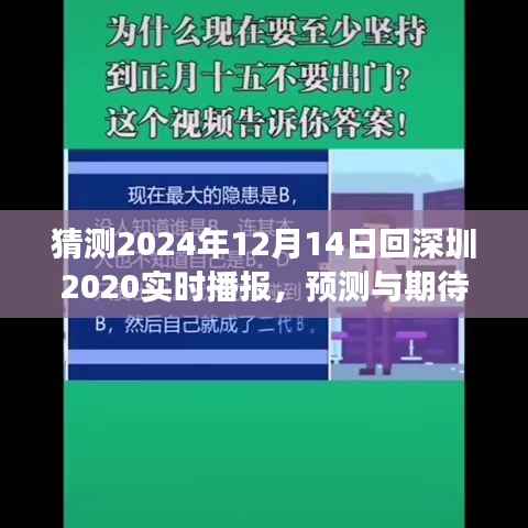 2024年归途深圳,实时播报与期待