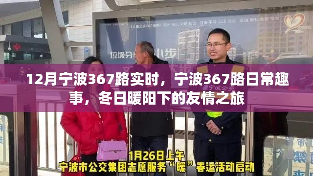 宁波367路日常趣事,冬日暖阳下的友情之旅