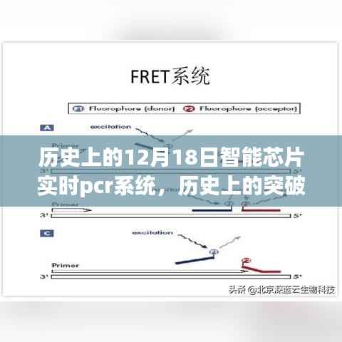 智能芯片实时PCR系统,历史突破与深度评测介绍