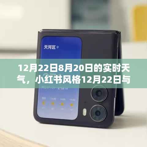 小红书风格揭秘,揭秘12月22日与8月20日天气实况,出行必备参考!