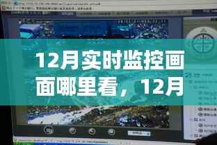 12月监控画面探家温馨陪伴,实时观察家的温暖瞬间