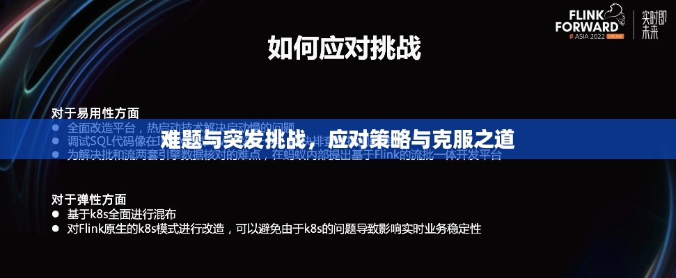 难题与突发挑战,应对策略与克服之道