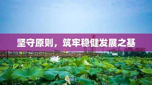 坚守原则,筑牢稳健发展之基