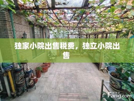 独家小院出售税费,独立小院出售
