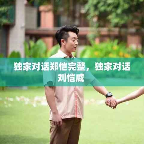 独家对话郑恺完整,独家对话刘恺威