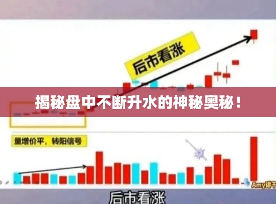 揭秘盘中不断升水的神秘奥秘!